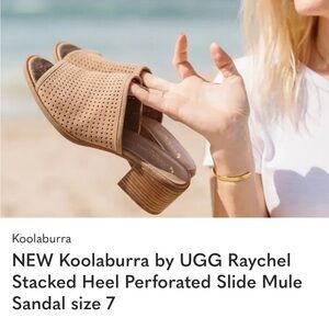 UGG Koolaburra Raychel TAUPE Brown Perforated Mules SIZE 7 EUC